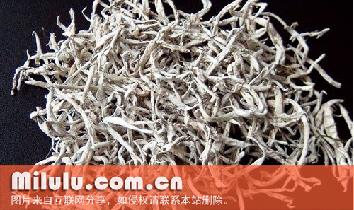 黄竹白毫图片