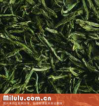 麻姑茶图片