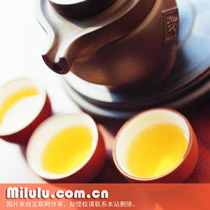 新江羽绒茶的采摘方法