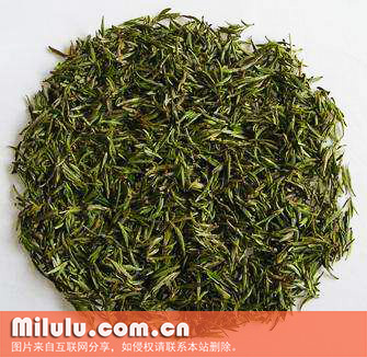 龙岩斜背茶图片