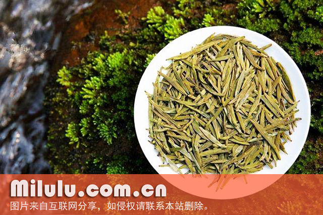 官庄毛尖中文名