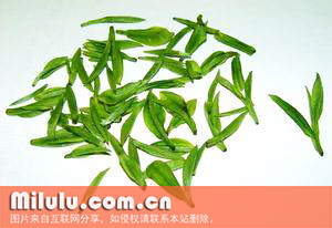 云林茶图片