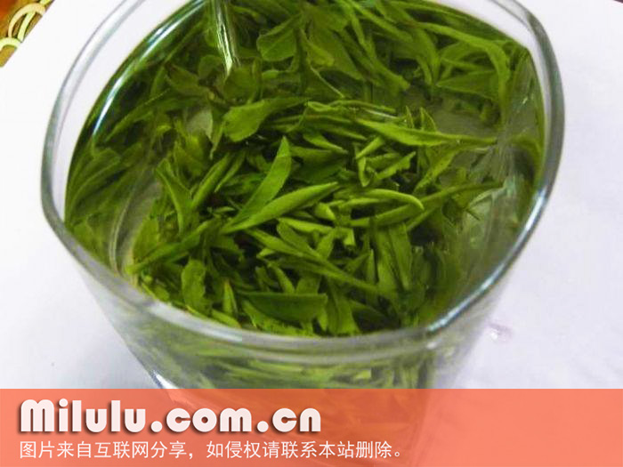 庐山云雾茶图片