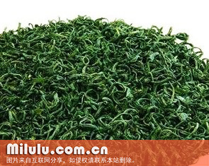 象棋云雾的生长环境