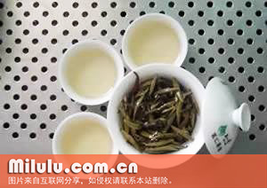 墨江云针的分布范围