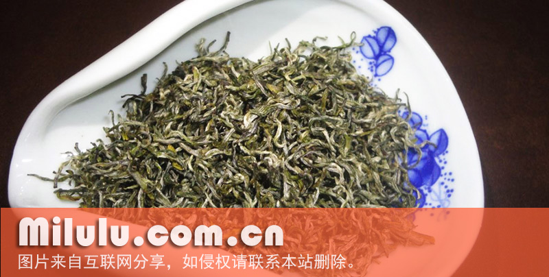 狗牯脑茶本地群体种