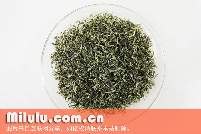 狗牯脑茶图片