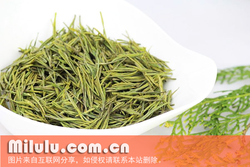 安吉白茶图片