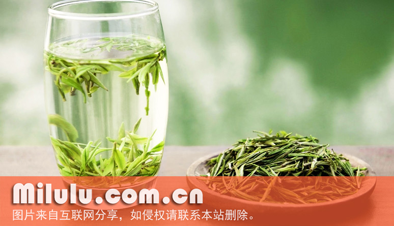 安吉白茶的历史渊源