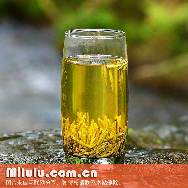 平阳黄汤中文名