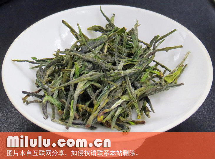 野生茶的植物学