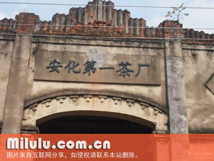 湖南省安化茶厂