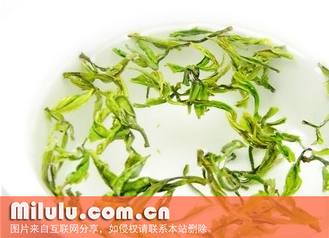 鸠坑茶图片