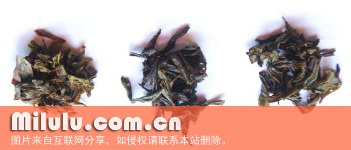 北苑贡茶图片