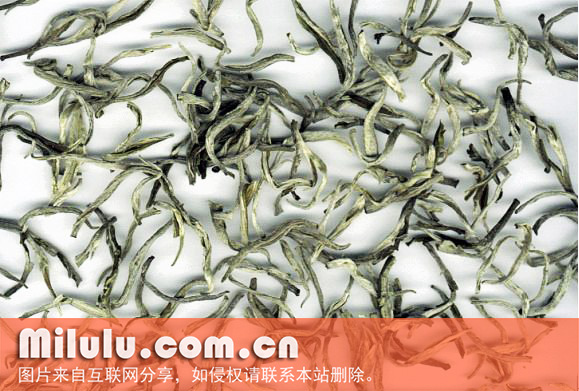 白毛茶的主要区别