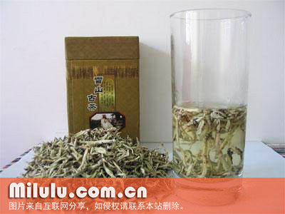 丽江雪茶图片