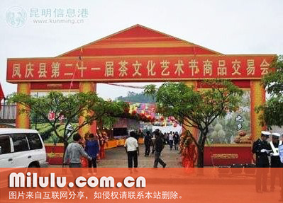 云南凤庆县第21届茶文化艺术节开幕