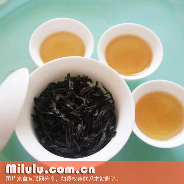 岭头单丛茶图片