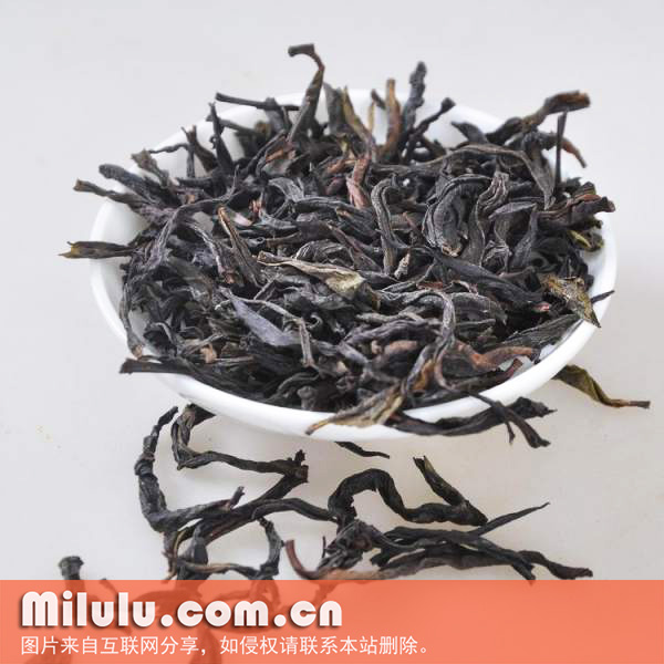 岭头单丛茶图片