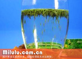 优绿茶图片