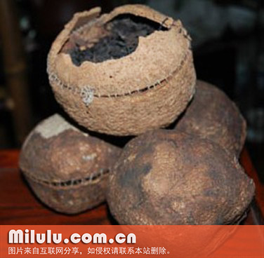 火茶界中文学名