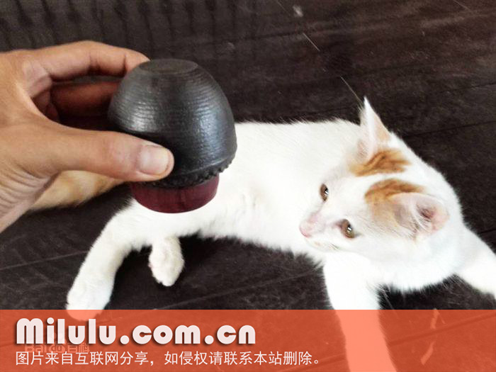 茶入倒置后盖子不掉落