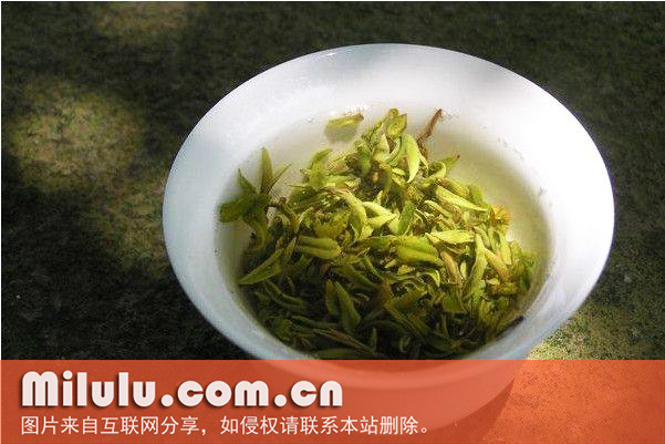 莫干黄芽茶