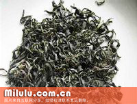 黄山银钩图片中文名