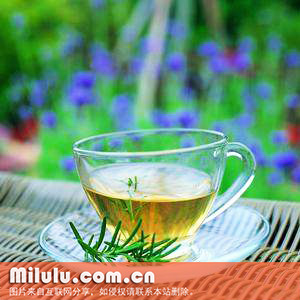 香菇寮白毫中文名产地