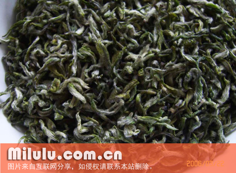 蒙山甘露中文名类别