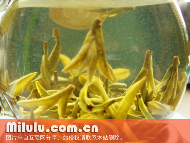 二泉银毫中文名