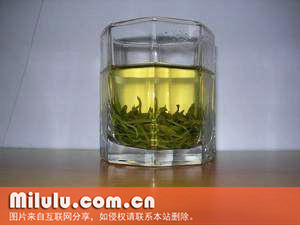 青岩茗翠的冲泡