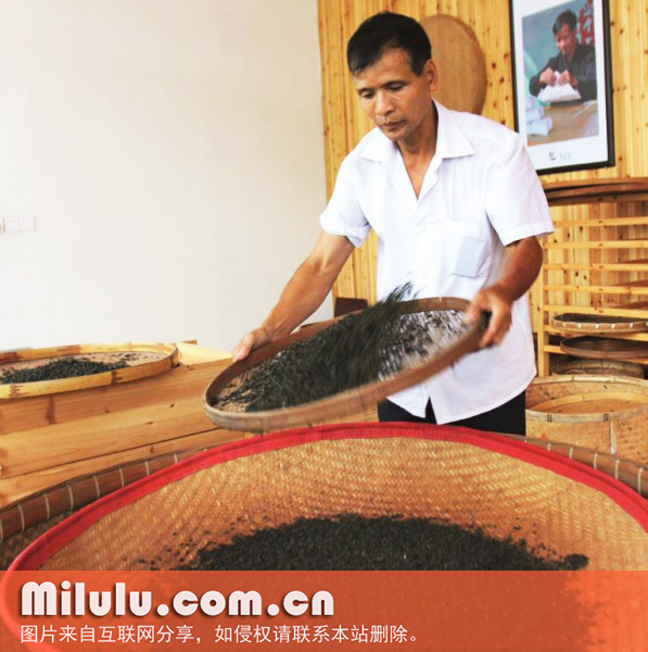 福州茉莉花茶窨制工艺