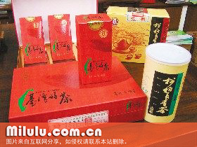 松柏长青茶图片