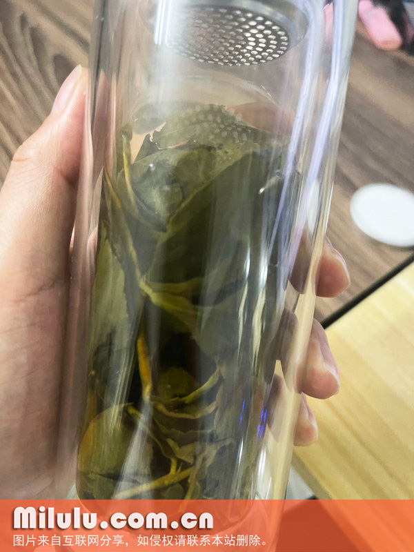 高山乌龙茶的特点介绍