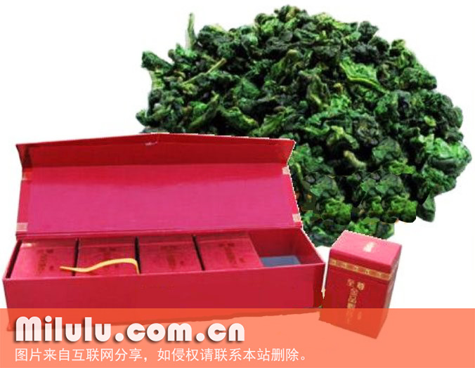 高山乌龙茶图片