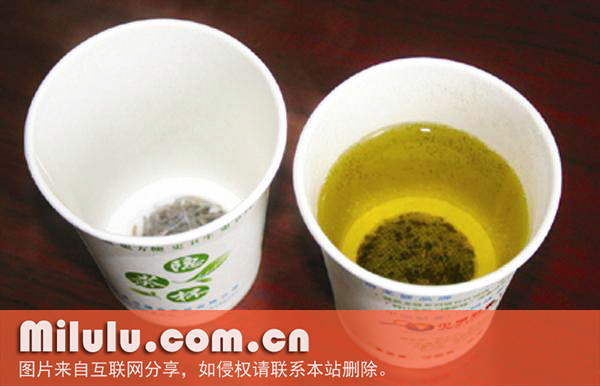 隐茶纸杯中文名