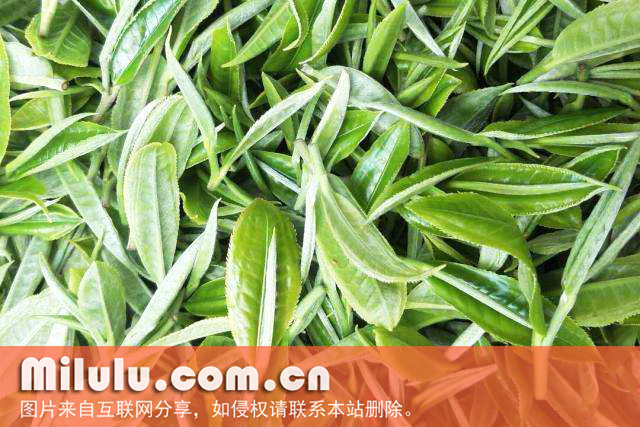 七境茶图片