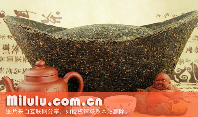 元宝茶中文名外观