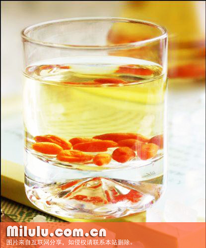 枸杞茶中文学名