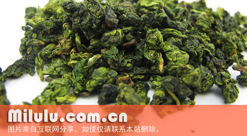 安溪黄金桂的栽培管理