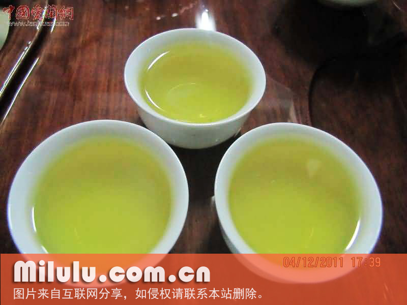 安溪黄金桂的茶园管理