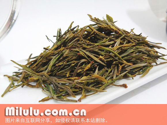 石笕茶中文学名