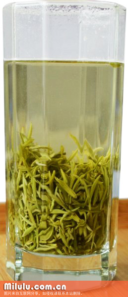 毛尖茶在冲泡中产生大量茶毫