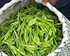 桐城小花产品特点