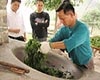 鹿苑毛尖茶叶文化