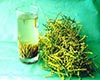 珠兰花茶