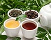 凌云白毫茶历史溯源