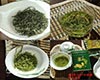 雪芽制茶工艺