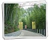 九华山茶历史文化